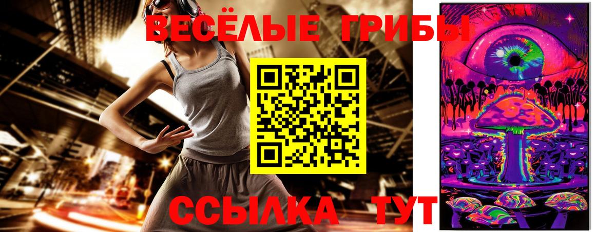 Псилоцибиновые грибы мицелий Новодвинск
