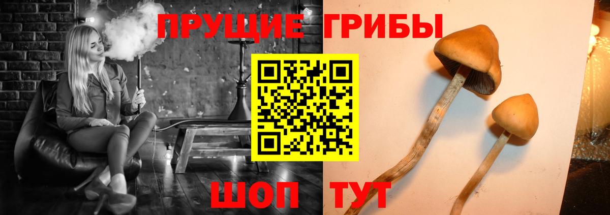 Галлюциногенные грибы мицелий  Вход с VPN  Новодвинск 